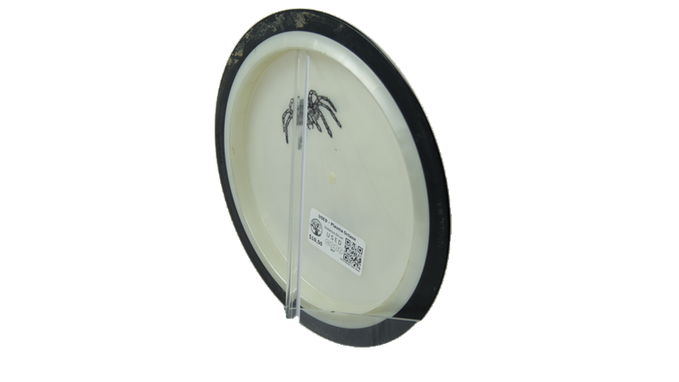 USED MVP Plasma Octane Distance Driver Back View