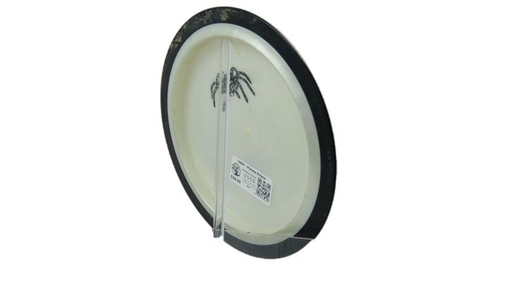 USED MVP Plasma Octane Distance Driver Back View