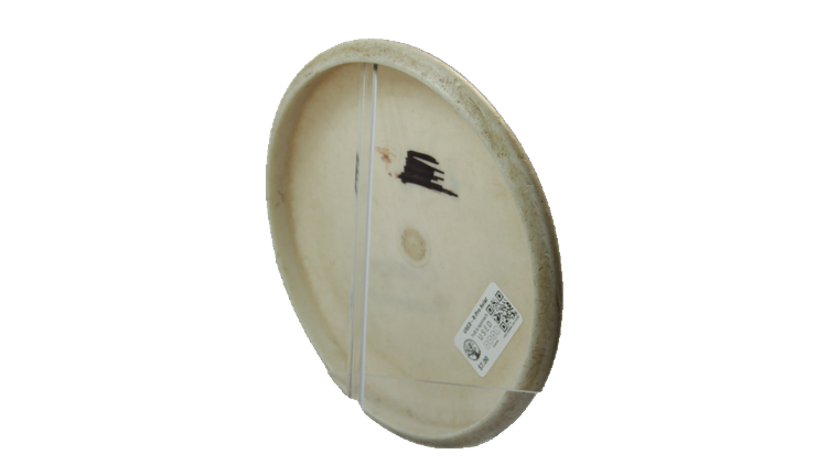 USED Innova R-Pro Aviar Putter Back View