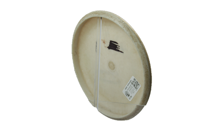 USED Innova R-Pro Aviar Putter Back View