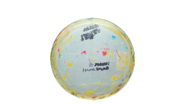 USED Discraft Jawbreaker Z Swarm Midrange Front View