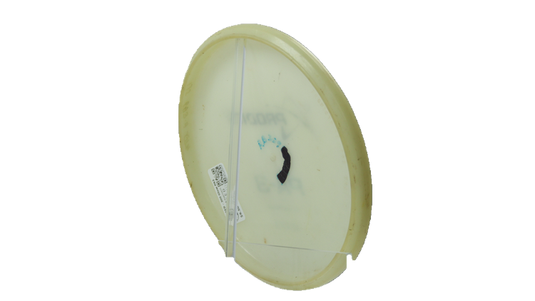 USED Prodigy 300 Glow PA3 Putter Back View