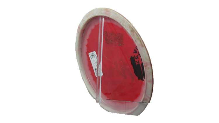 USED Innova Halo Star Rollo Midrange Back View