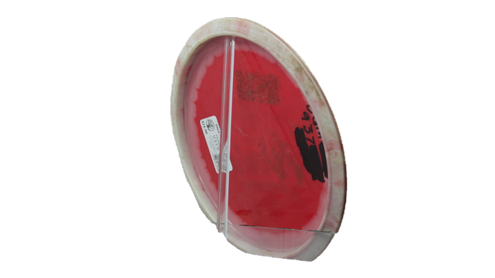 USED Innova Halo Star Rollo Midrange Back View