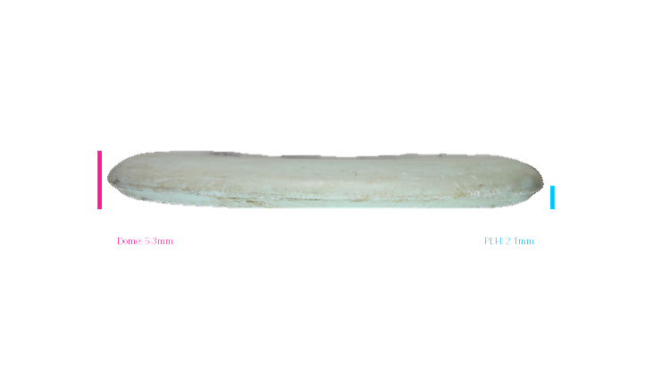 USED Discraft Pro D Magnet Putter Profile View