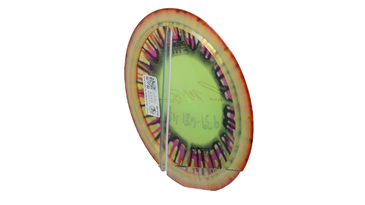USED Discraft Paul McBeth Fly Dye Z Anax Distance Driver Back View