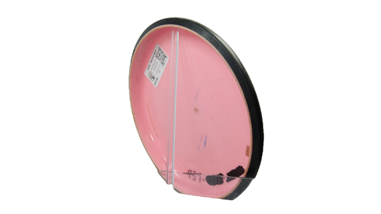 USED MVP Neutron Spin Putter Back View
