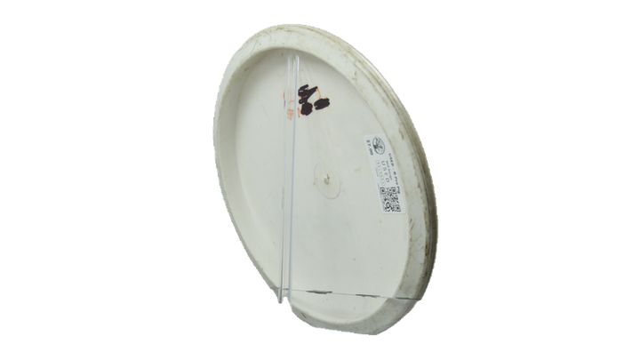 USED Innova R-Pro Pig Midrange Back View