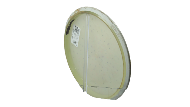 USED Axiom Eclipse Hex Midrange Back View