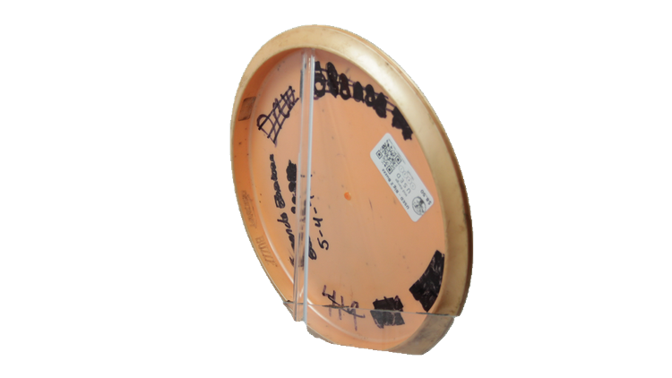 USED Discraft Big Z Buzzz Midrange Back View