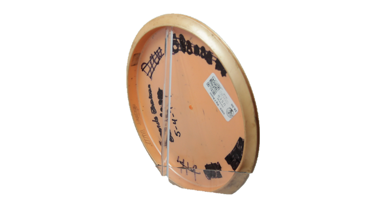 USED Discraft Big Z Buzzz Midrange Back View
