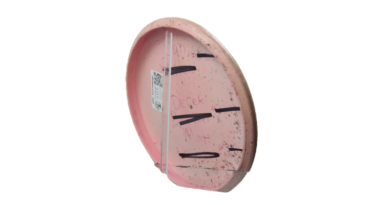 USED Discraft Pro D Challenger Putter Back View