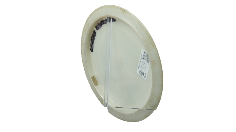 USED DGA ProLine Sail Distance Driver Back View