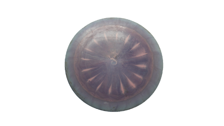 USED Discraft ESP Nuke Distance Driver Front View