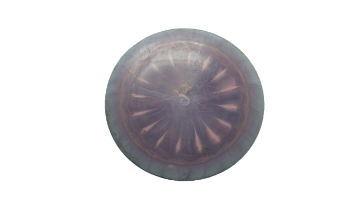 USED Discraft ESP Nuke Distance Driver Front View