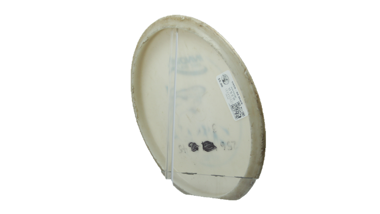 USED Innova DX Shark Midrange Back View