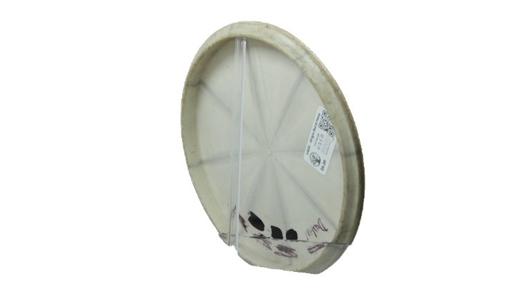 USED Westside Discs Origio Burst Harp Midrange Back View