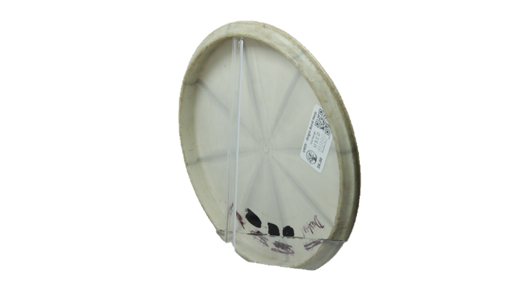 USED Westside Discs Origio Burst Harp Midrange Back View