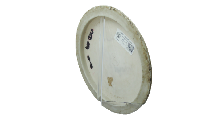 USED Innova DX Archangel Fairway Driver Back View
