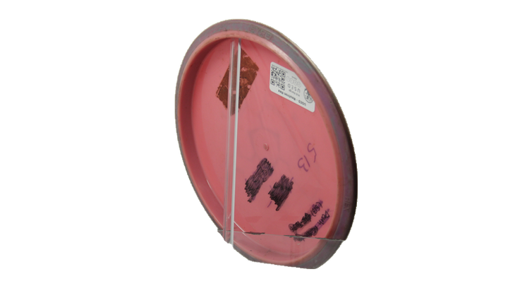 USED Axiom Neutron Hex Midrange Back View