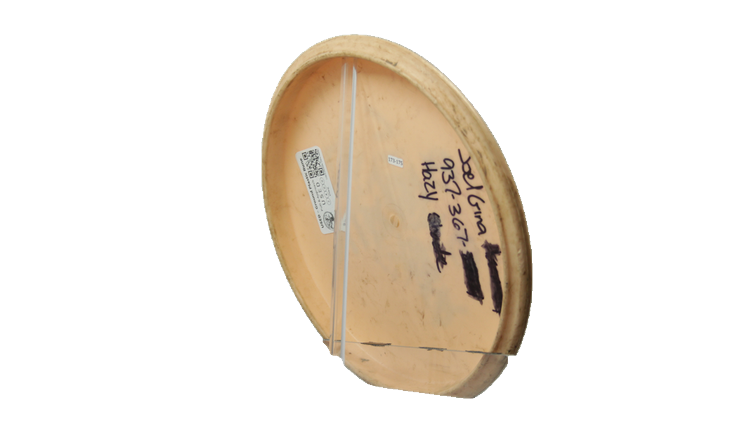USED Viking Ground Plastic Rune Putter Back View