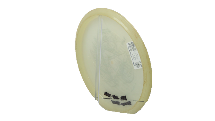 USED Axiom 2023 Halloween Elvis Lizottl / Misprint Total Eclipse Hex Midrange Back View