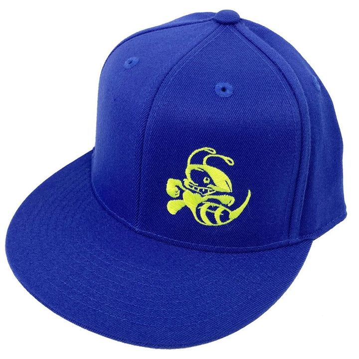 Discraft Solid Color Snapback Buzzz Logo Hat