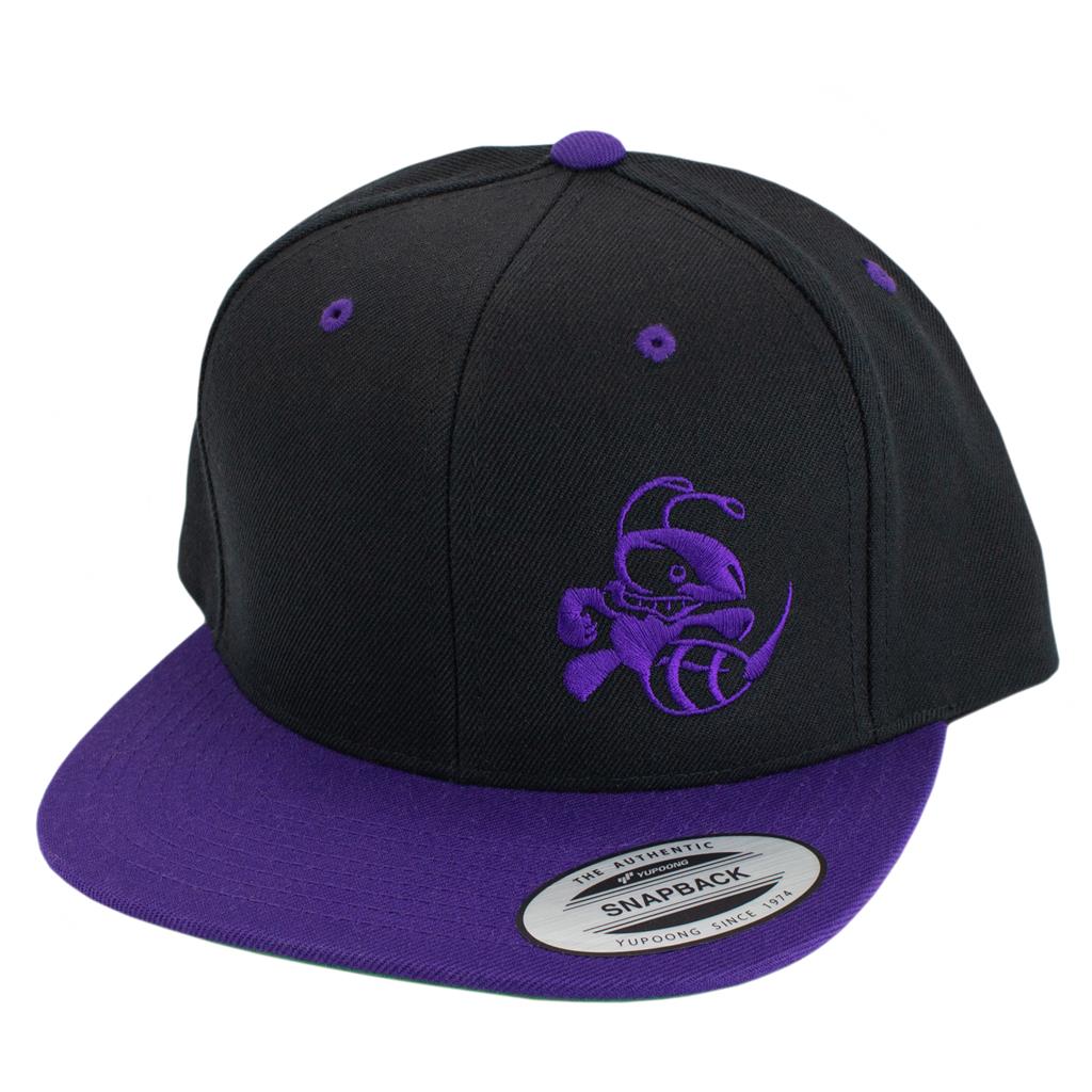 Discraft Two Tone Snapback Hat Buzzz Design