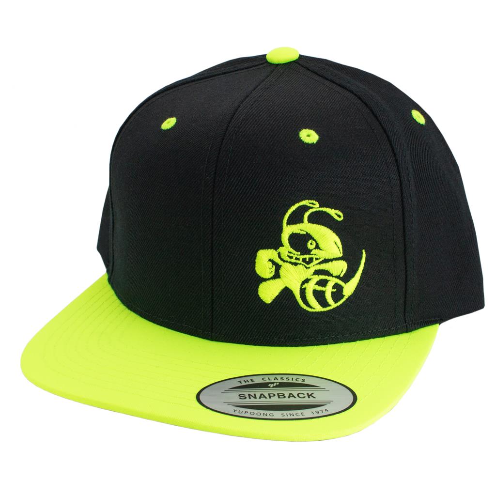 Discraft Two Tone Snapback Hat Buzzz Design