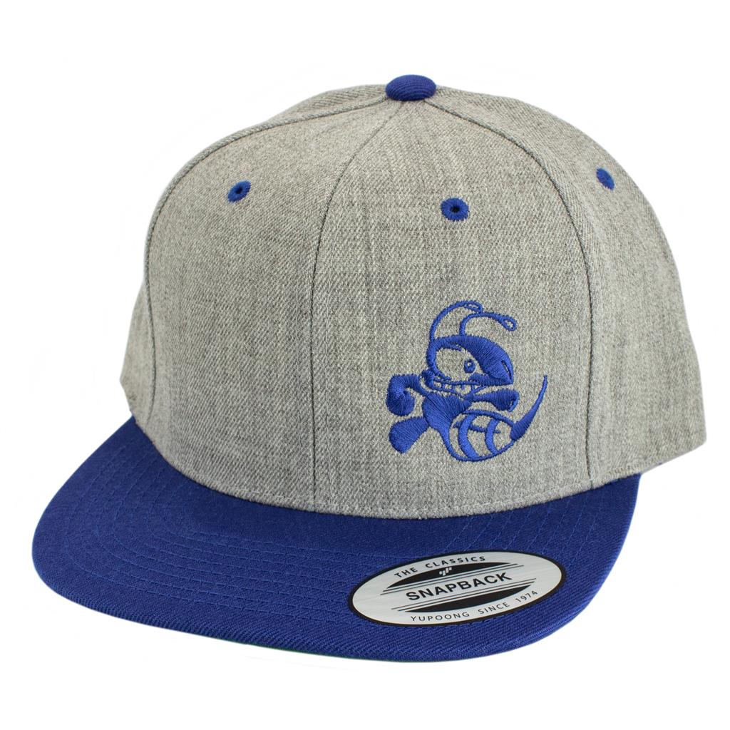 Discraft Two Tone Snapback Hat Buzzz Design