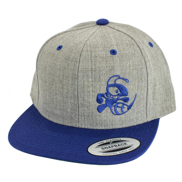 Discraft Two Tone Snapback Hat Buzzz Design