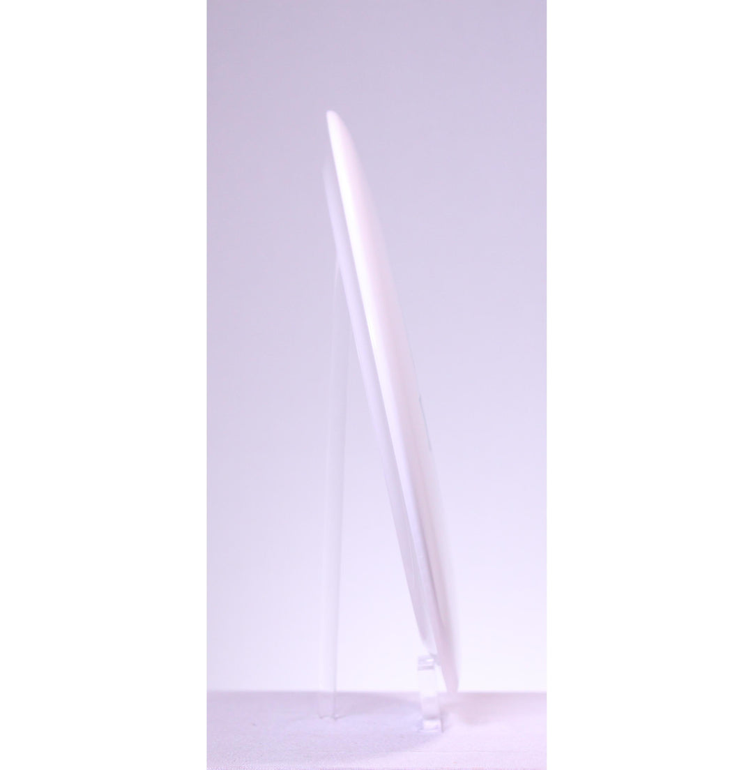 Dynamic Discs Bowling Green BioFuzion Sergeant Distance Driver