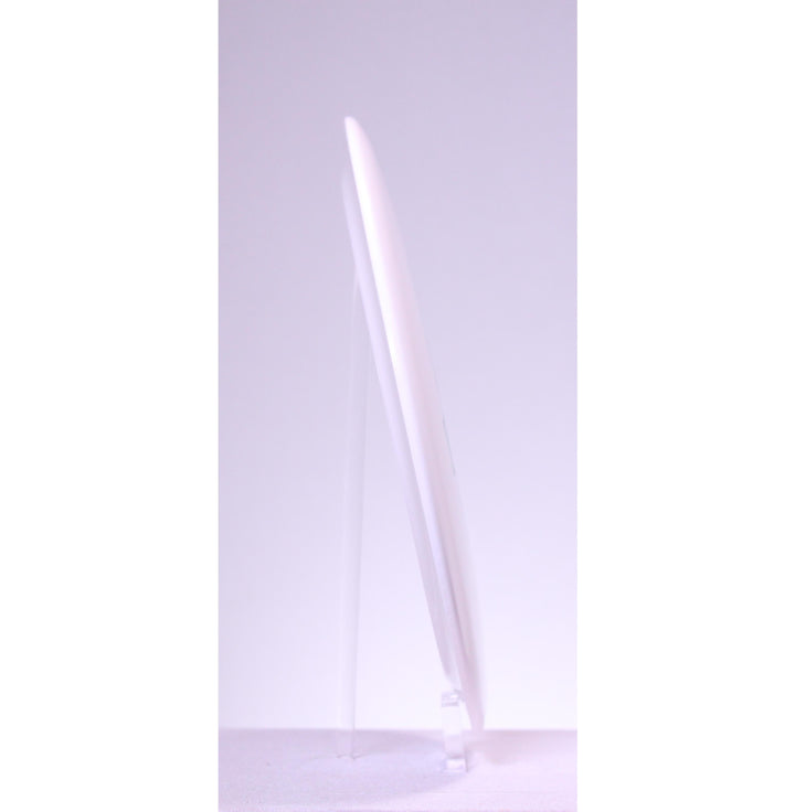 Dynamic Discs Bowling Green BioFuzion Sergeant Distance Driver