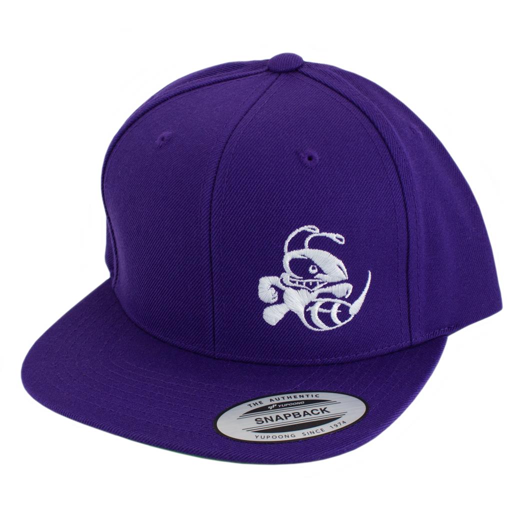 Discraft Solid Color Snapback Buzzz Logo Hat